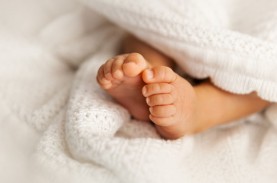 Marak Pembuangan Bayi di Sleman, Pakar: Indekos Bebas…