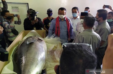 2,22 Ton Ikan Tuna Segar Maluku Diekspor ke Jepang