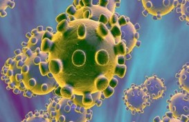 3 Mitos Penularan Virus Corona
