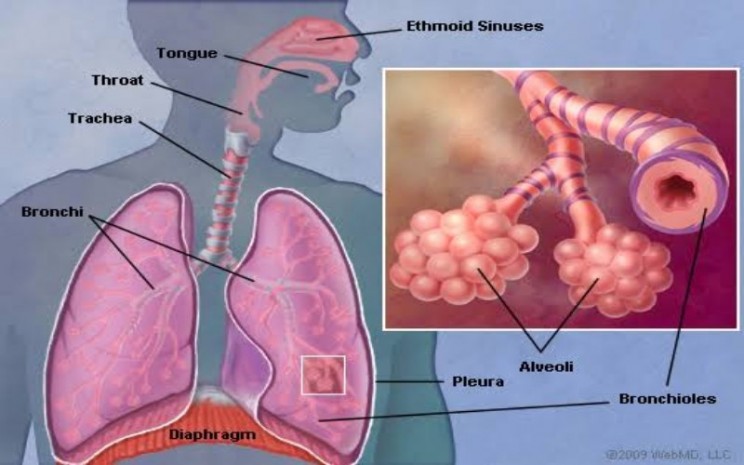 Shock Sepsis Irreversible Penyebab Sekda Dki Saefullah Meninggal Apakah Itu Lifestyle Bisnis Com