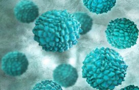Mengenal Norovirus yang Sedang Menyerang China dan Cara Pencegahannya