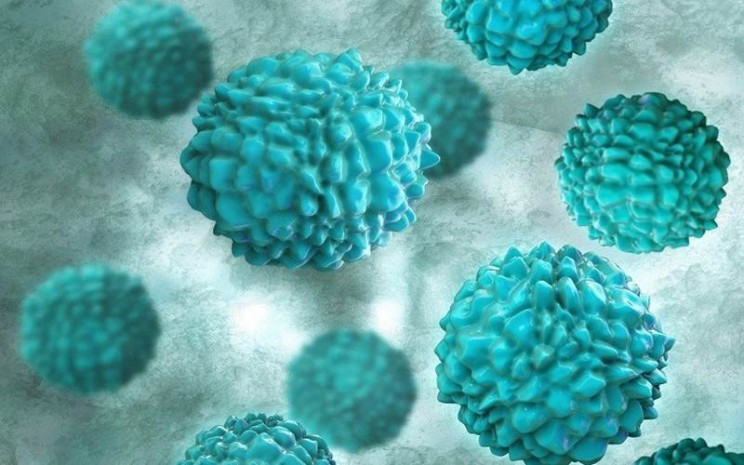 Kenali Norovirus, Virus Diare Di China 