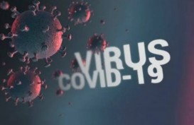 Bisakah Seseorang Terinfeksi Virus Corona Lebih dari Sekali?