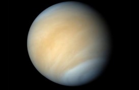 Kehidupan di Venus Pertama Kali Terdeteksi 42 Tahun Lalu