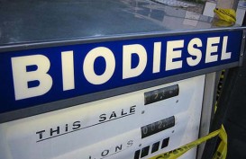 Serapan Biodiesel Bertumpu ke Serapan Domestik