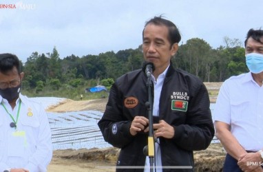 Jokowi Targetkan Hasil Food Estate di Sumut Terlihat dalam 2 Bulan