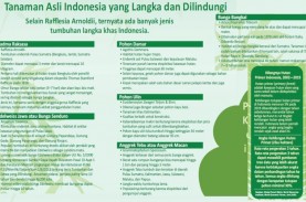 POHON UNTUK MASA DEPAN : Berkah Flora Nusantara