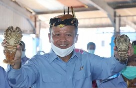 KPK Dikabarkan Tangkap Menteri KKP Edhy Prabowo Rabu Dini Hari