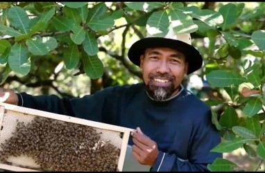 Gandeng Petani Madu Dunia, UMKM Binaan Pertamina Inisiasi Honey Global Project