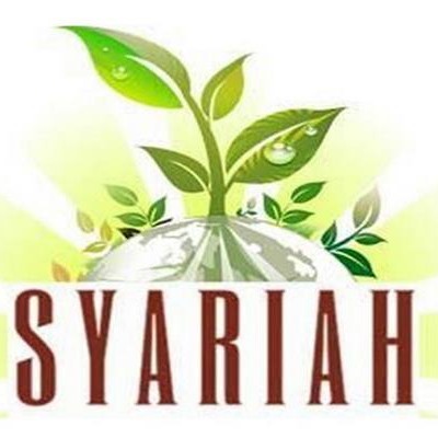 Artikel Analisis Manajemen Keuangan Syariah Bagi Umkm ...