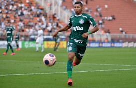 Palmeiras ke Final Copa Libertadores Meski Dikalahkan River Plate