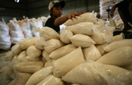 OPINI  : Pergulatan Industri Gula 