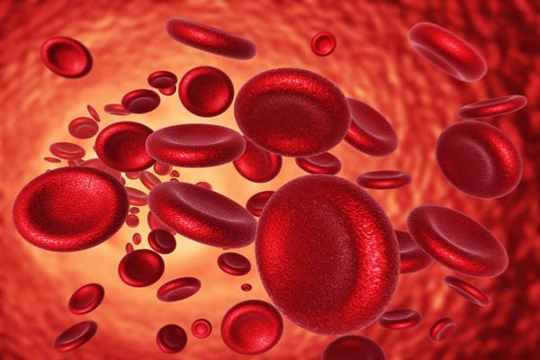 Kekurangan zat besi pada darah bisa berdampak kurang baik pada kesehatan anak - Ilustrasi
