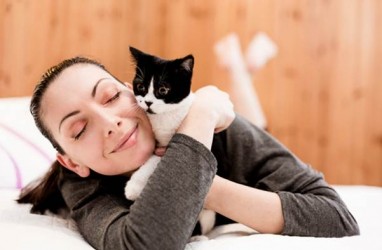 Kucing dan Anjing Membutuhkan Vaksin Virus Corona Sendiri, Kenapa?