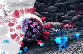 Ilmuwan Temukan Gambar 3D Pertama Virus Corona yang…