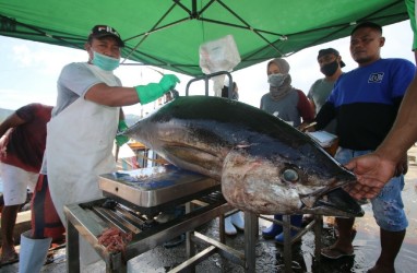 Raih Sertifikat MSC, 11.000 Ton Tuna Indonesia Siap Tembus AS dan Eropa