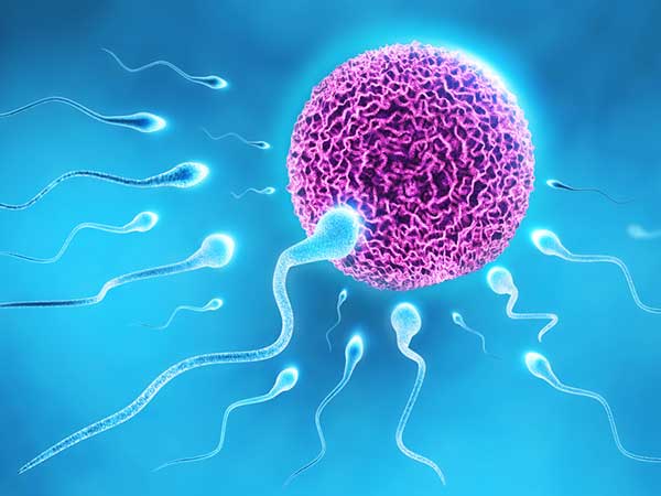 Perempuan yang berusia 25-29 tahun memiliki potensi kehamilan sebesar 78 persen. Sel telur yang sehat dan sperma yang berkualitas menjadi faktor penentu kehamilan - Istimewa