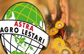 Astra Agro (AALI) Incar Pertumbuhan Produksi CPO 5 Persen pada 2021