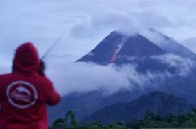 Merapi Luncurkan Guguran Lava Pijar Sejauh 800 Meter
