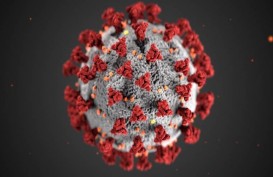 Varian Virus Corona Baru Terdeteksi di 13 Negara