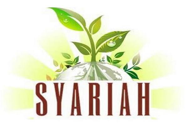 Dorong Ekonomi Syariah Universitas Nadlatul Ulama Yogyakarta Dirikan Shafiec Finansial Bisnis Com