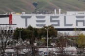 Bikin Pabrik di India, Tesla Kabarnya Gandeng Tata Motors