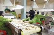 Produsen Tolak Angin (SIDO) Optimistis Pertumbuhan Laba Bersih Dua Digit