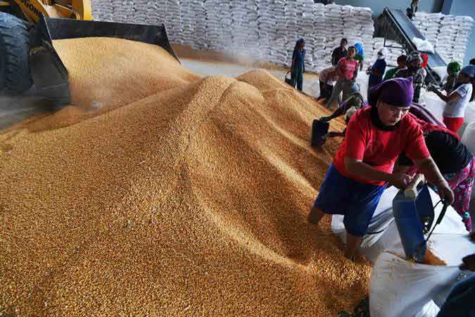 Pekerja mengemas jagung impor yang akan didistribusikan ke peternak di Gudang Bulog, Surabaya, Jawa Timur, Kamis (24/1/2019). - ANTARA/Zabur Karuru