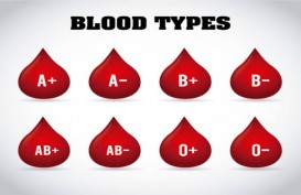 Studi Terbaru Ungkap Golongan Darah Tidak Berkaitan dengan Risiko Covid-19