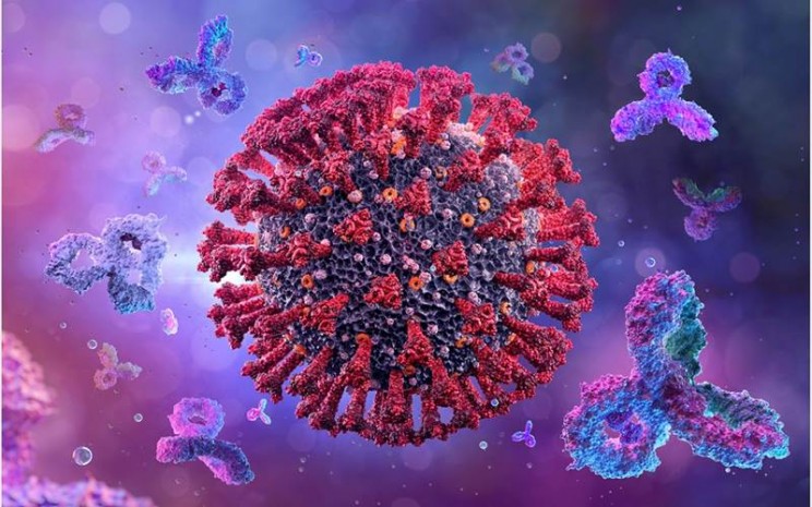 Mutasi virus corona B117 - istimewa