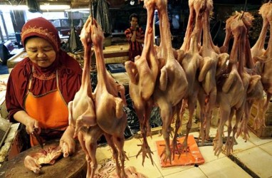 BI Prediksi Inflasi Meningkat di April 2021, Dipicu Naiknya Harga Ayam