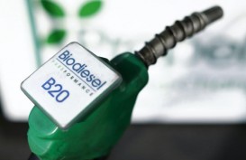 CDP Ungkap Risiko Penggunaan Biofuel Bagi Lingkungan