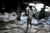 HARGA GULA TINGGI DI INDONESIA TIMUR : Titik Distribusi Impor Jadi Sorotan