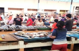 Gali Potensi Maritim & Jaga Ekosistem, Lampung Edukasi Ekonomi Biru