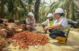Cargill Bangun Pabrik Kelapa Sawit di Lampung Rp2,86 Triliun 