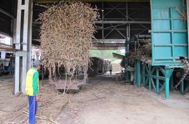 Kebun Tebu di Indonesia Terbatas, RNI Bakal Optimalisasi Aset lahan