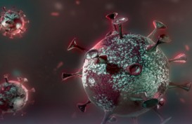 LIPI Laporkan 44 Kasus Virus Variant Delta di Karawang 