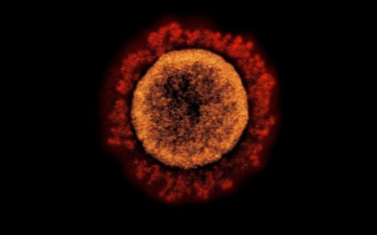 Para Ilmuwan Prediksi Mutasi Virus Corona Akan Terus Berlangsung di Masa Mendatang