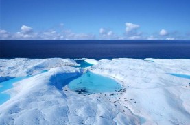 Antartika Cetak Rekor Suhu Terpanas yang Baru