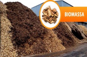 Biomassa di Indonesia Berpotensi Jadi Sumber Energi