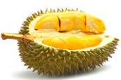 Pecinta Durian, Ini Lho 6 Manfaat Makan Buah Beraroma Khas Itu