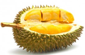Pecinta Durian, Ini Lho 6 Manfaat Makan Buah Beraroma Khas Itu