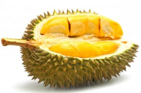 Pecinta Durian, Ini Lho 6 Manfaat Makan Buah Beraroma…