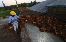Dubes Dindin Wahyudi Bidik Kerja Sama Pertanian Indonesia-Afrika Barat 