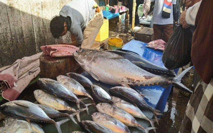 Aktivitas di Tempat Pelelangan Ikan (TPI) Hamadi di Jayapura, Papua. - Antara/Evarukdijati