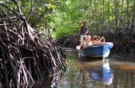 Pulihkan Ekonomi, KKP Segera Rehabilitasi 6 Kawasan Mangrove