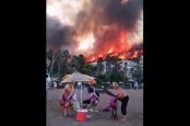 Turki Alami Kebakaran Hutan, Tagar #PrayForTurkey Ramai di Twitter