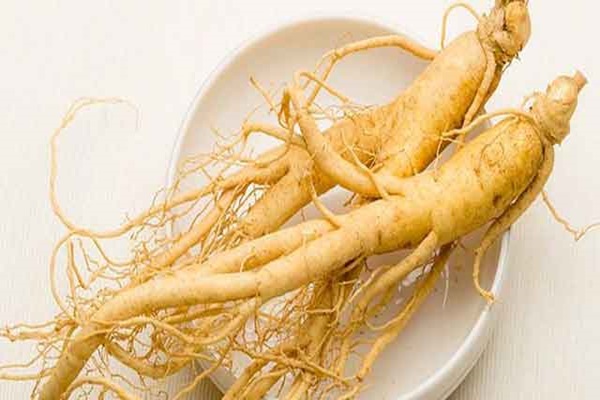 Manfaat Ginseng Dari Jaga Stamina Hingga Vitalitas