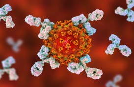 Antibodi Turun Pasca Suntik Vaksin Covid, Jangan Khawatir. Ini Penjelasan Ahli