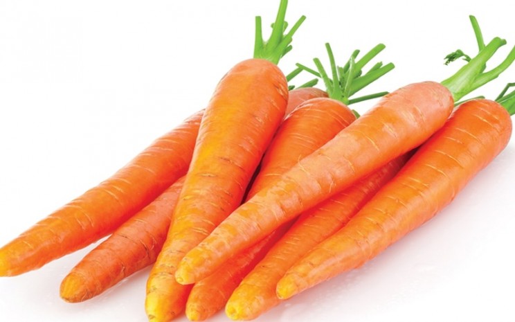 carrot.jpg (744×465)